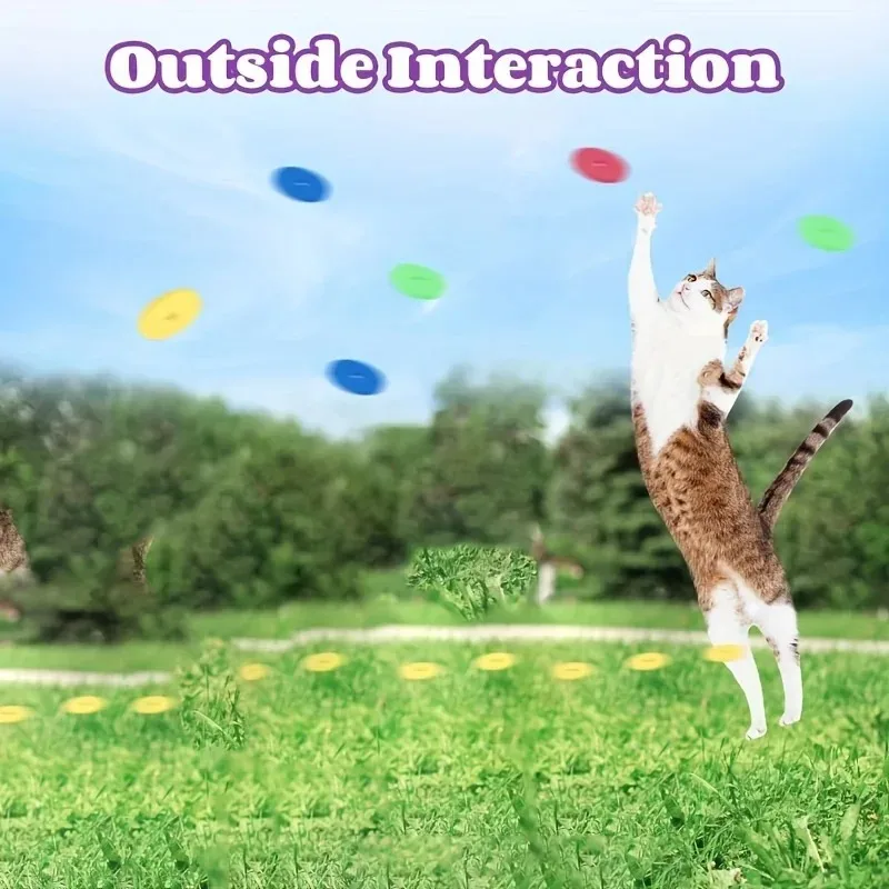 Funny Cat Toys Creative Turnip – Frisbee Freestyle Disc Bewertung und Preis