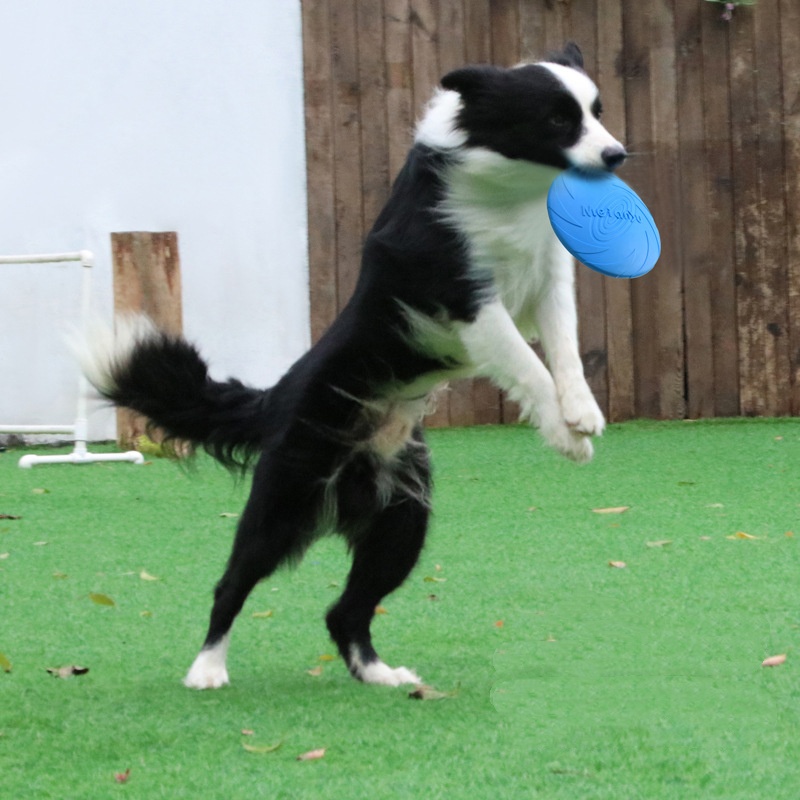 Multicolor Silicone Dog Frisbe – Frisbee Freestyle Disc Bewertung und Preis