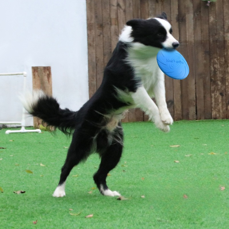 Dog Frisbee, Border Animal Pet – Frisbee Freestyle Disc Bewertung und Preis