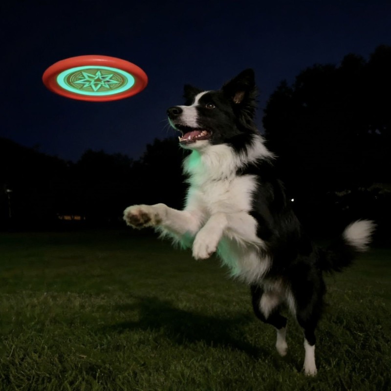 Glow in the Dark Dog Frisbee,  – Frisbee Freestyle Disc Bewertung und Preis