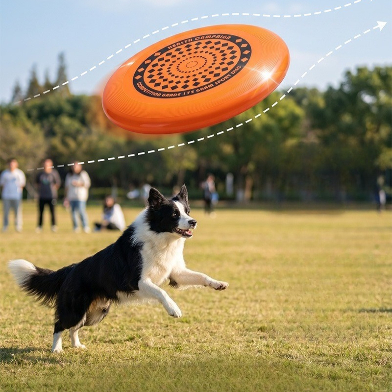 Dog Frisbee 27CM Durable Chew  – Frisbee Freestyle Disc Bewertung und Preis