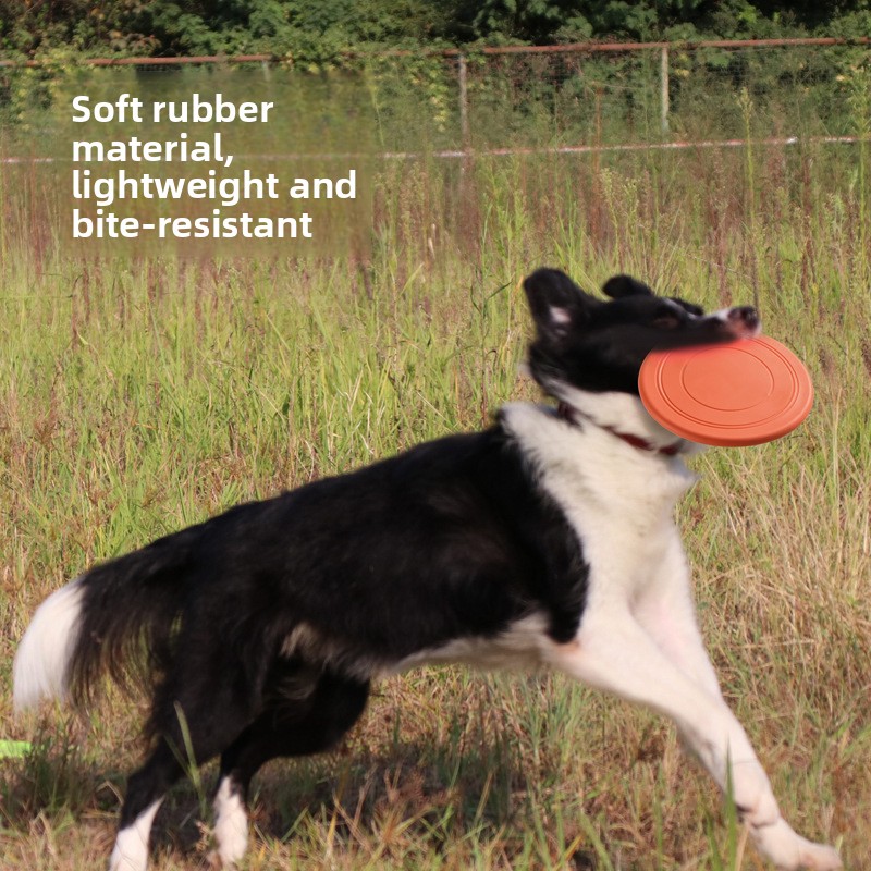 Soft Flying, Dog Toys Interact – Frisbee Freestyle Disc Bewertung und Preis