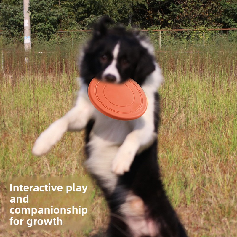 Soft Flying, Dog Toys Interact – Frisbee Freestyle Disc Bewertung und Preis