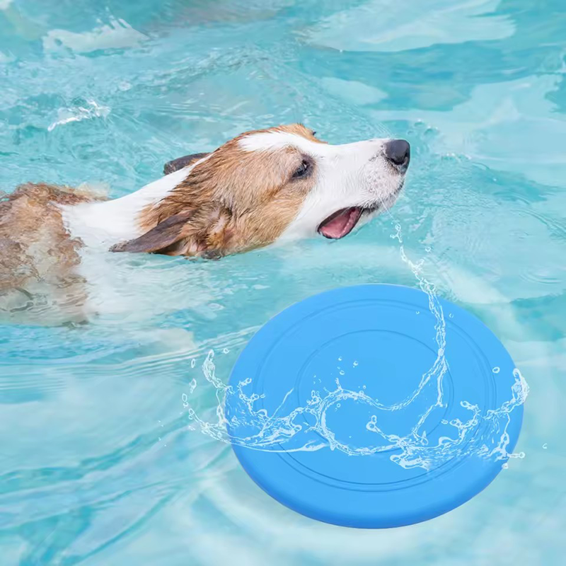 Durable Chewable Pet Training  – Frisbee Freestyle Disc Bewertung und Preis