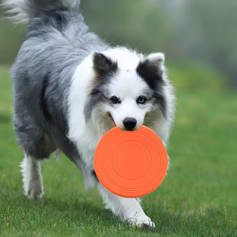 Durable Chewable Pet Training  – Frisbee Freestyle Disc Bewertung und Preis