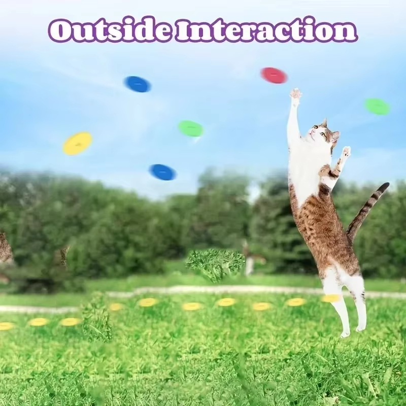 Funny Cat Toys Creative Turnip – Frisbee Freestyle Disc Bewertung und Preis