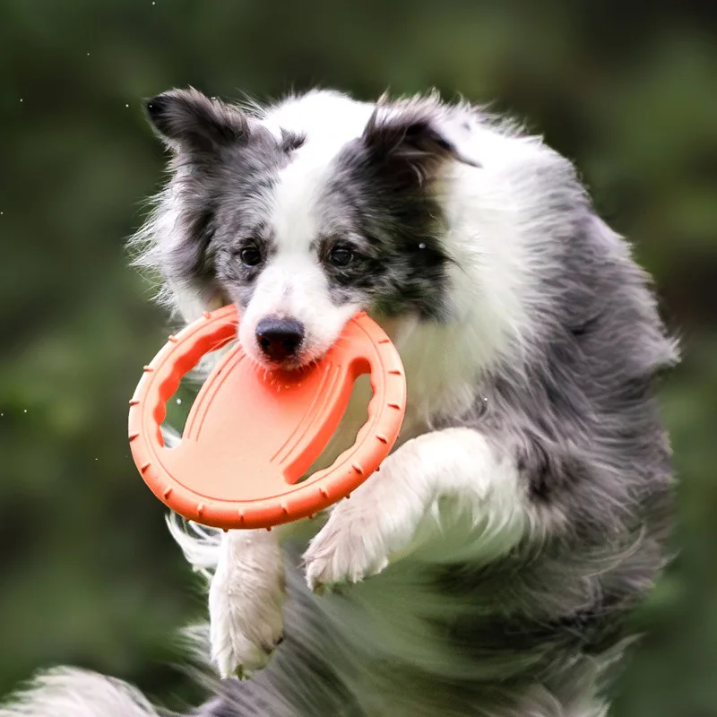 Durable Dog Flying Disc Toy Pe – Frisbee Freestyle Disc Bewertung und Preis
