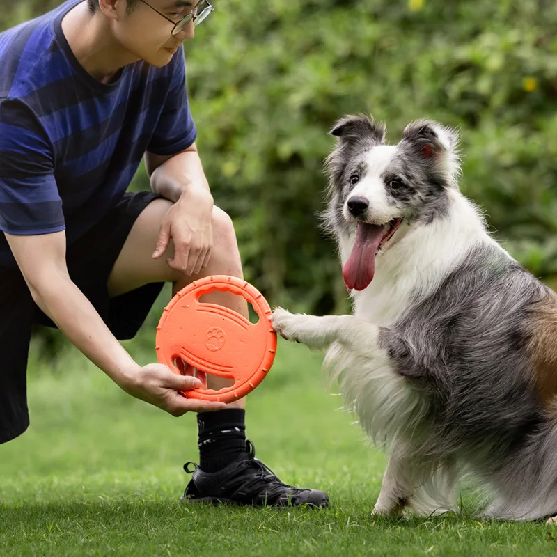 Durable Dog Flying Disc Toy Pe – Frisbee Freestyle Disc Bewertung und Preis
