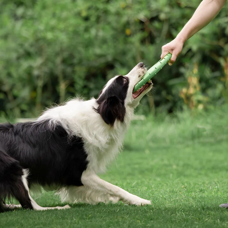 Durable Dog Flying Disc Toy Pe – Frisbee Freestyle Disc Bewertung und Preis