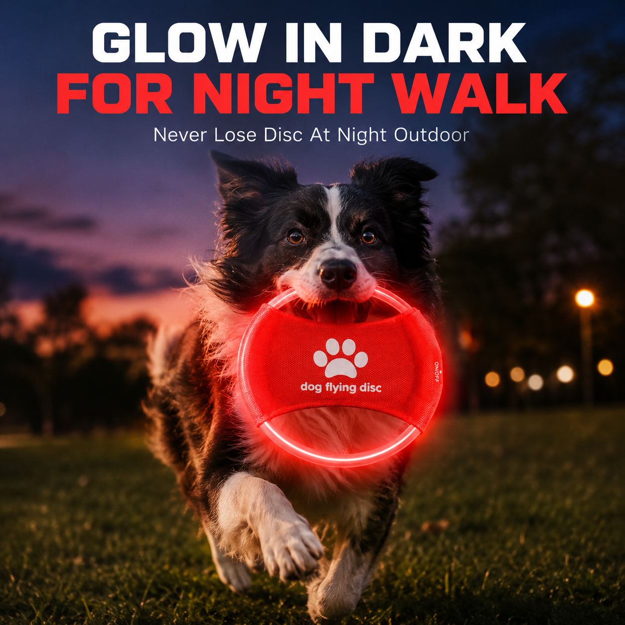 LED Glow Dog Flying Disc USB R – Frisbee Freestyle Disc Bewertung und Preis